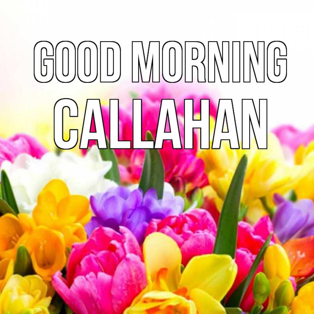 Greetings card с именем, Callahan Good morning создать открытку со свое подписью Greetings with text for free download 