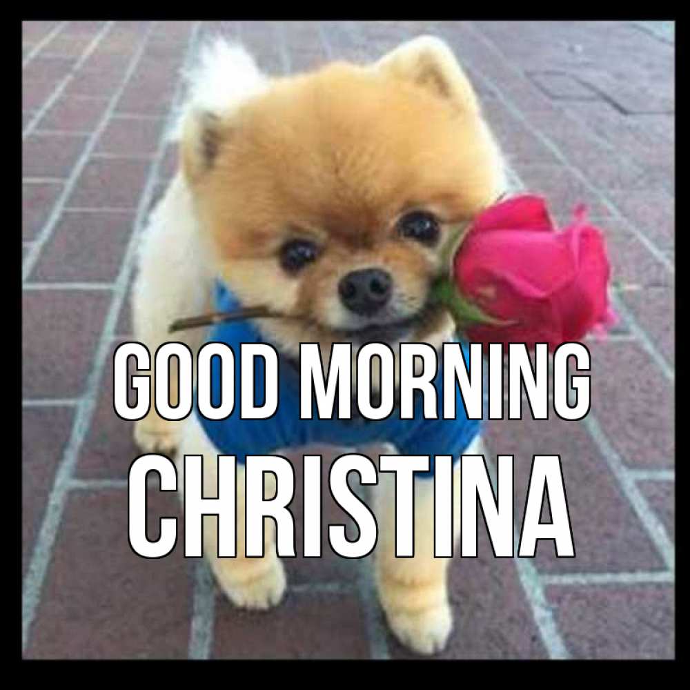 Greetings card с именем, Christina Good morning роза в зубах Greetings with text for free download 