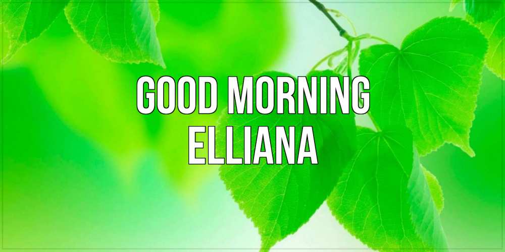 Greetings card с именем, Elliana Good morning доброе утро с березовыми листьями Greetings with text for free download 