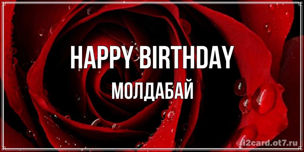 Greetings card с именем, МОЛДАБАЙ Happy Birthday крупная бордовая роза Greetings with text for free download 