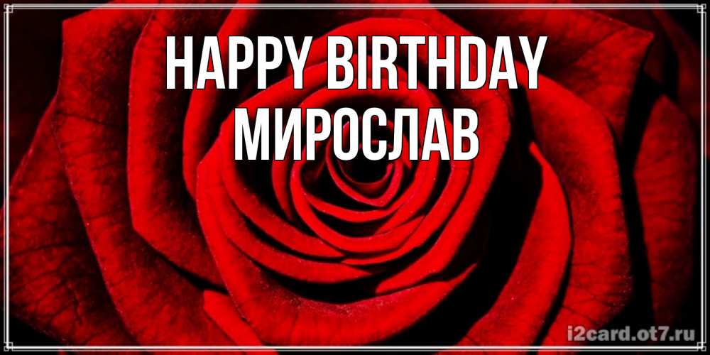 Greetings card с именем, Мирослав Happy Birthday алая роза Greetings with text for free download 