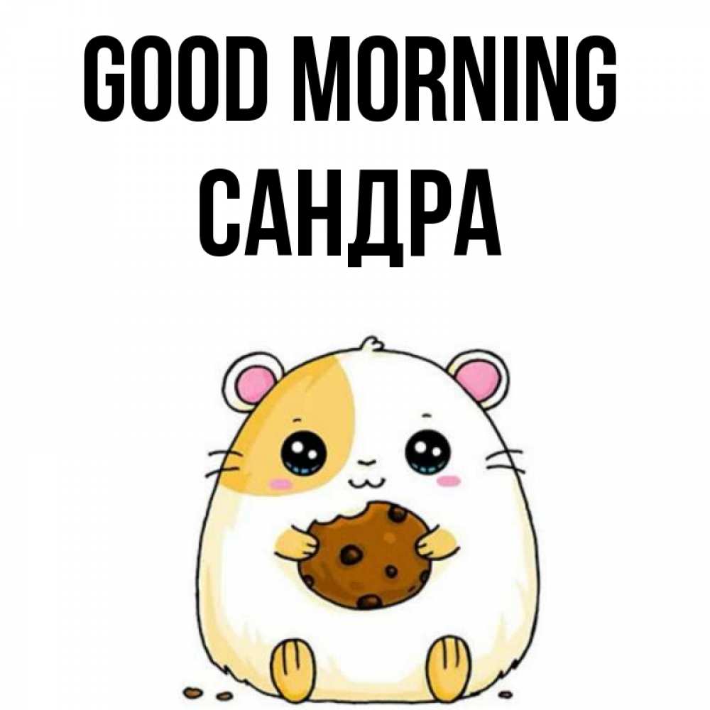 Greetings card с именем, Сандра Good morning есть печеньку. Утречко Greetings with text for free download 