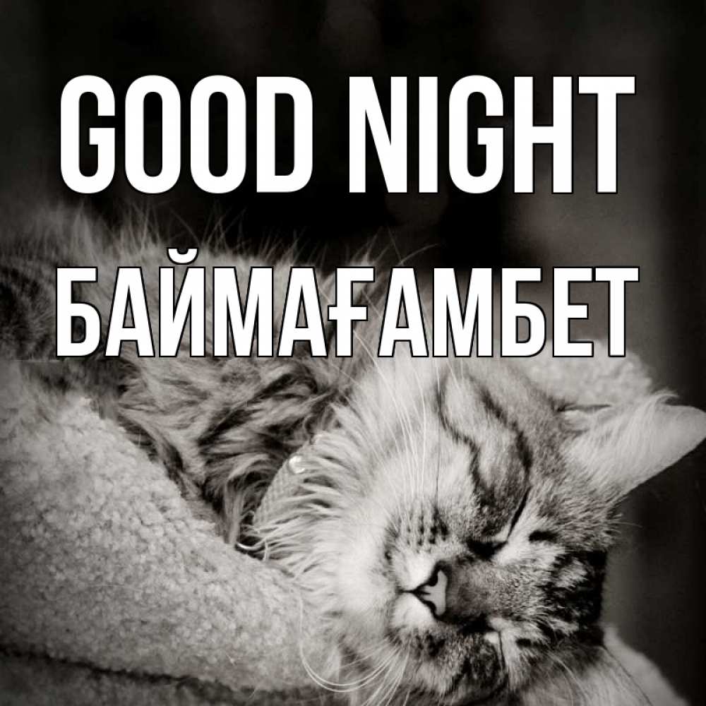 Greetings card с именем, Баймағамбет Good night котярик пушистый Greetings with text for free download 