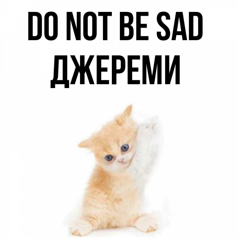 Greetings card с именем, Джереми Do not be sad просящий кот Greetings with text for free download 