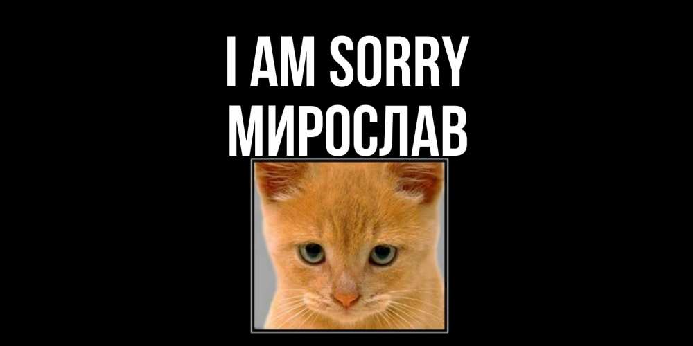 Greetings card с именем, Мирослав I am sorry рыжий грустный кот просит прощения Greetings with text for free download 