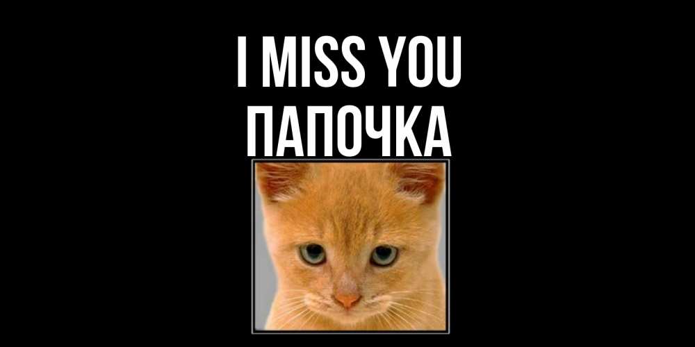 Greetings card с именем, Папочка I miss you открытки рыжий котенок скучает по тебе Greetings with text for free download 
