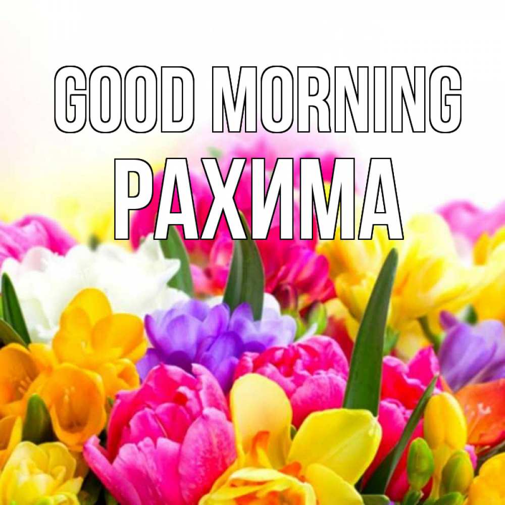 Greetings card с именем, РАХИМА Good morning создать открытку со свое подписью Greetings with text for free download 