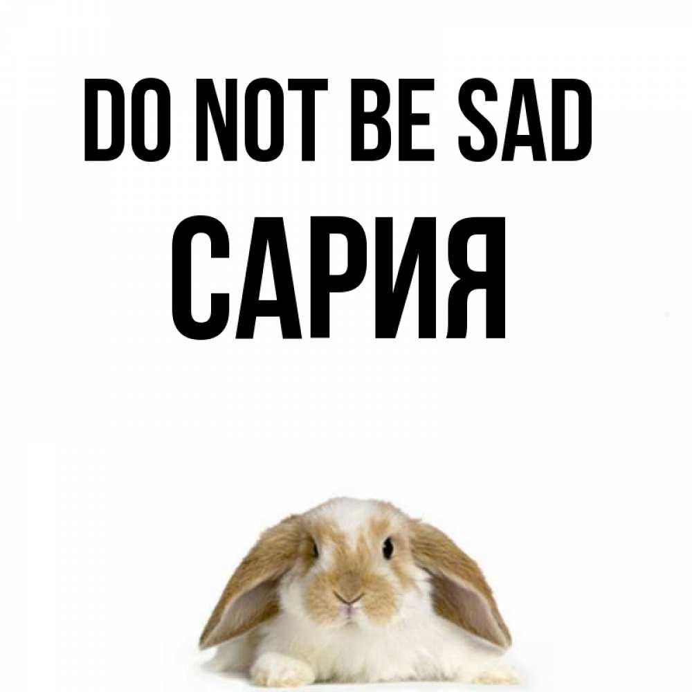 Greetings card с именем, САРИЯ Do not be sad коричнево белый заяц с большими ушками Greetings with text for free download 