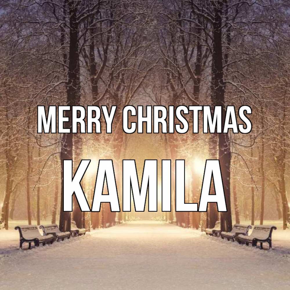 Greetings card с именем, Kamila Merry Christmas зима, парк, фонарь, лес Greetings with text for free download 