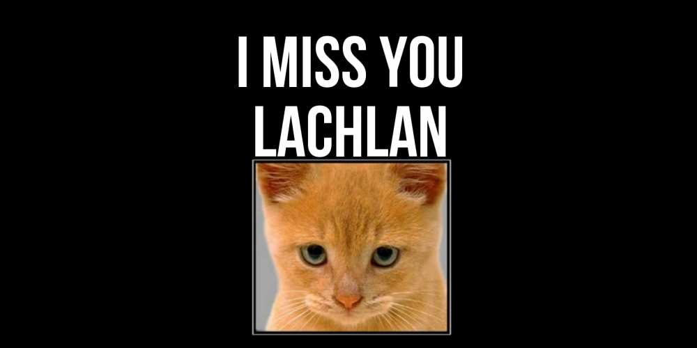 Greetings card с именем, Lachlan I miss you открытки рыжий котенок скучает по тебе Greetings with text for free download 