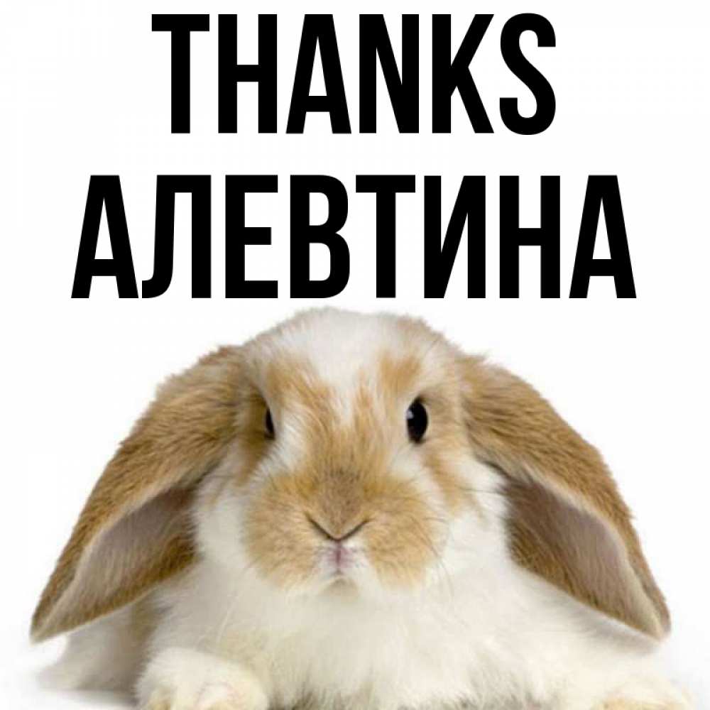 Greetings card с именем, Алевтина Thanks коричнево белый заяц Greetings with text for free download 
