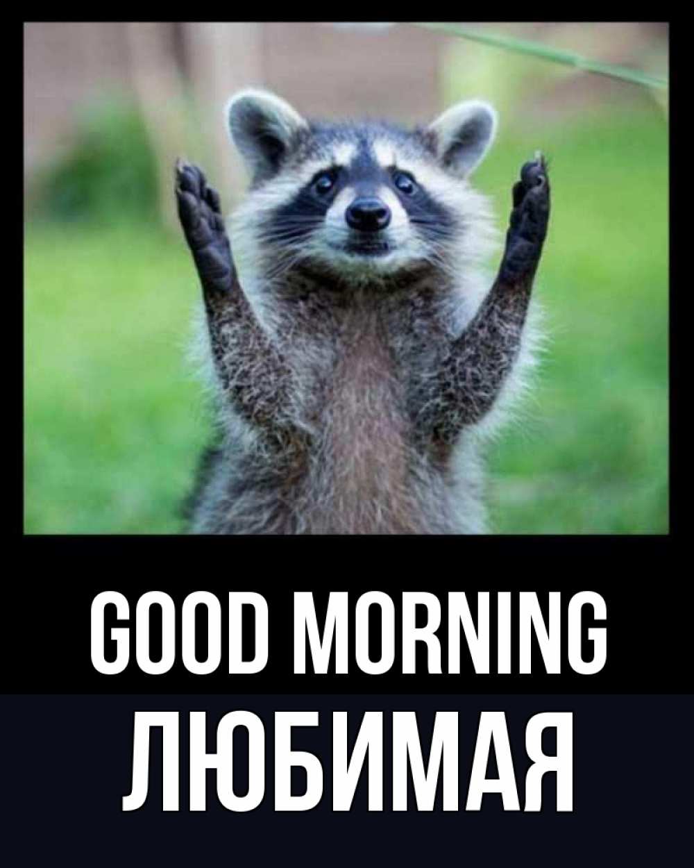 Greetings card с именем, Любимая Good morning хорошее настроение утречком Greetings with text for free download 