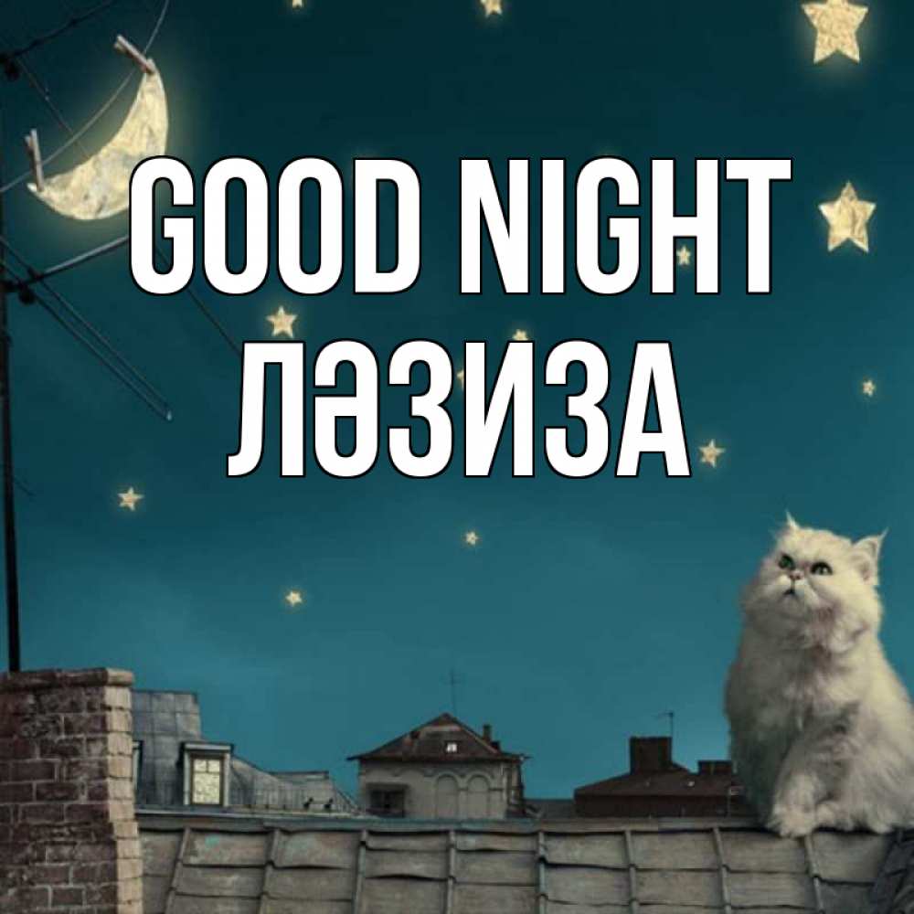 Greetings card с именем, ЛӘЗИЗА Good night белый кот сидит на крыше Greetings with text for free download 