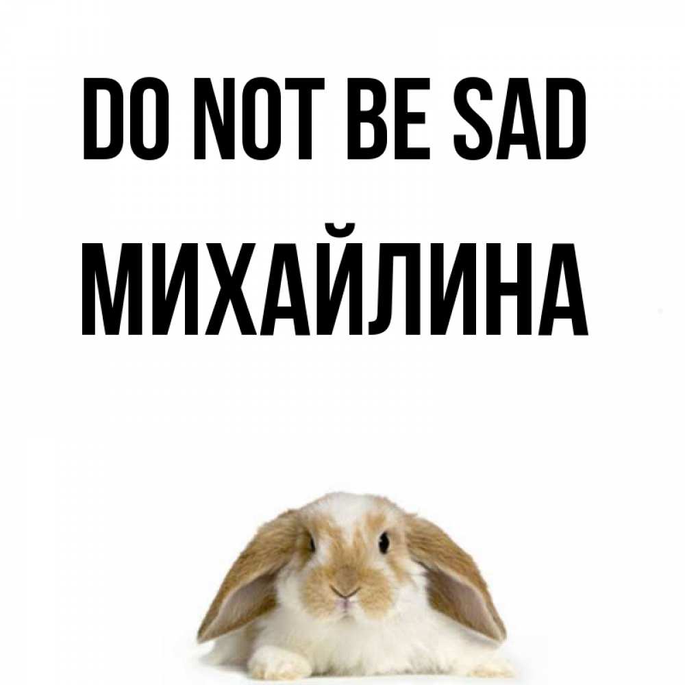 Greetings card с именем, Михайлина Do not be sad коричнево белый заяц с большими ушками Greetings with text for free download 