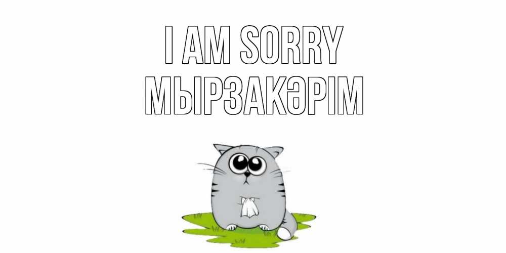 Greetings card с именем, Мырзакәрім I am sorry открытка с котиком просящим прощения Greetings with text for free download 