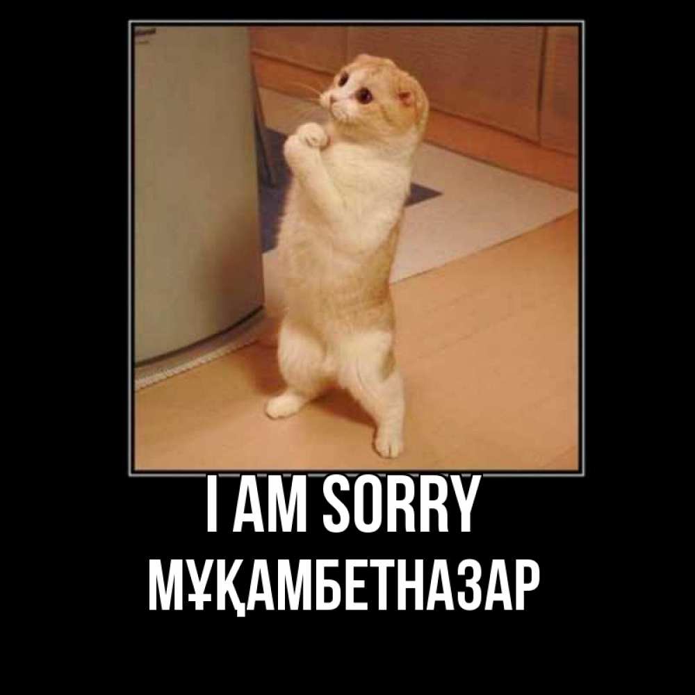 Greetings card с именем, Мұқамбетназар I am sorry открытка с милым несчастным котиком просящим прощения Greetings with text for free download 