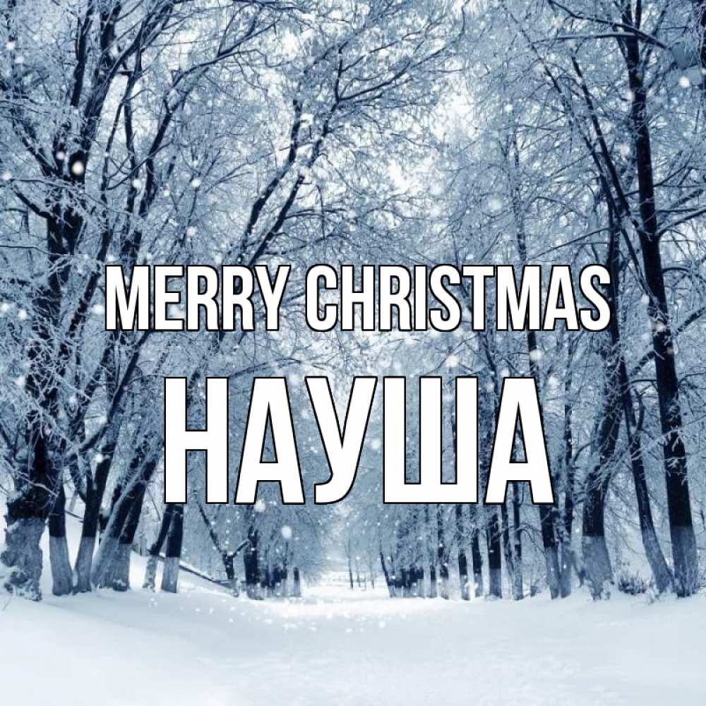 Greetings card с именем, НАУША Merry Christmas снег, лес, парк Greetings with text for free download 