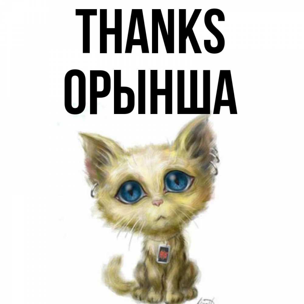 Greetings card с именем, ОРЫНША Thanks рисованный кот благодарит вас Greetings with text for free download 