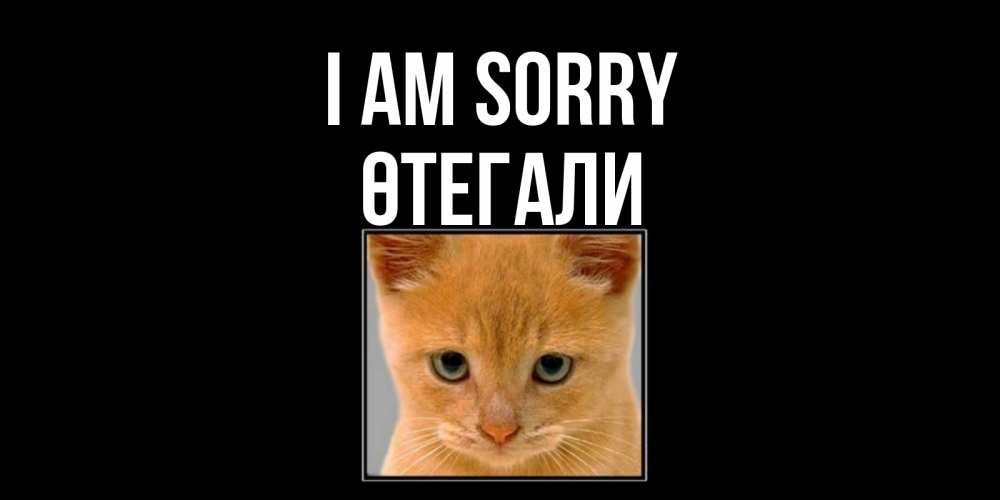 Greetings card с именем, ӨТЕГАЛИ I am sorry рыжий грустный кот просит прощения Greetings with text for free download 