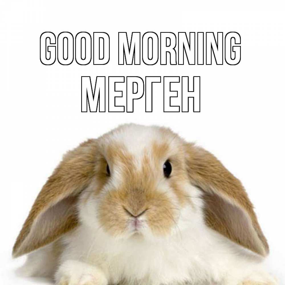 Greetings card с именем, МЕРГЕН Good morning прикольные открытки на каждый день Greetings with text for free download 