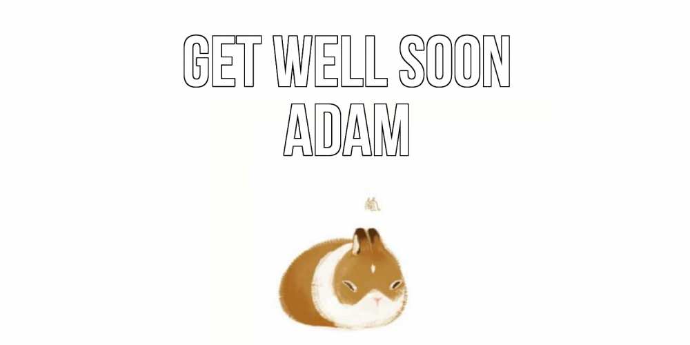 Greetings card с именем, Adam Get well soon морская свинка на открытке с пожеланиями не болеть Greetings with text for free download 