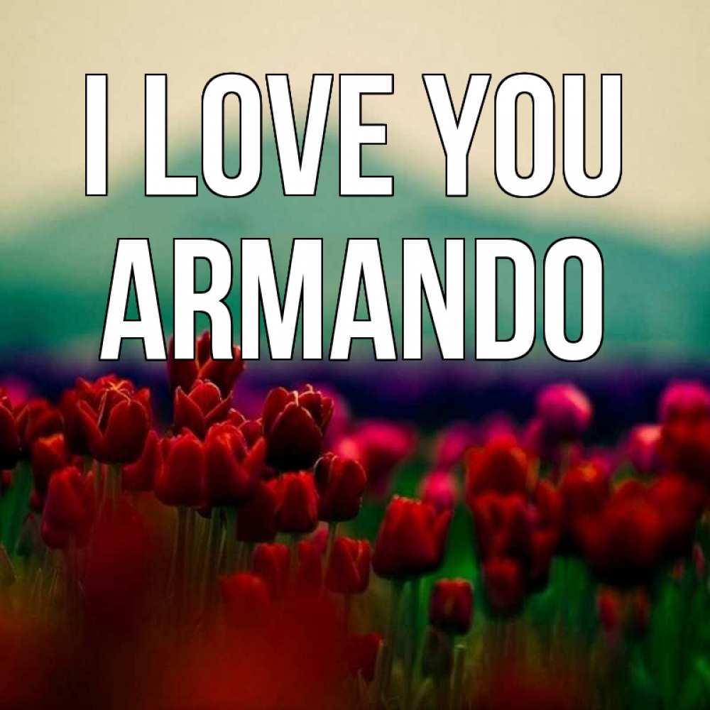 Greetings card с именем, Armando I love you тюльпаны 4 Greetings with text for free download 