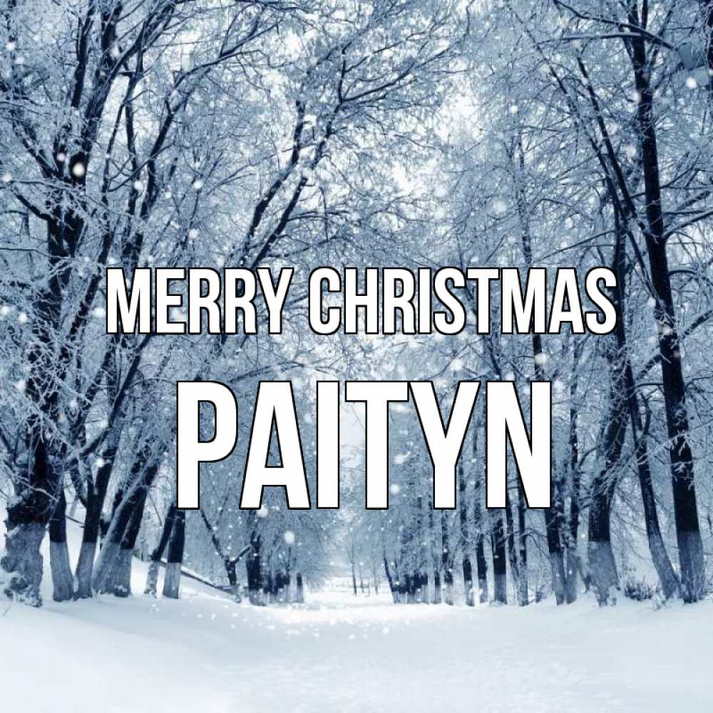 Greetings card с именем, Paityn Merry Christmas снег, лес, парк Greetings with text for free download 