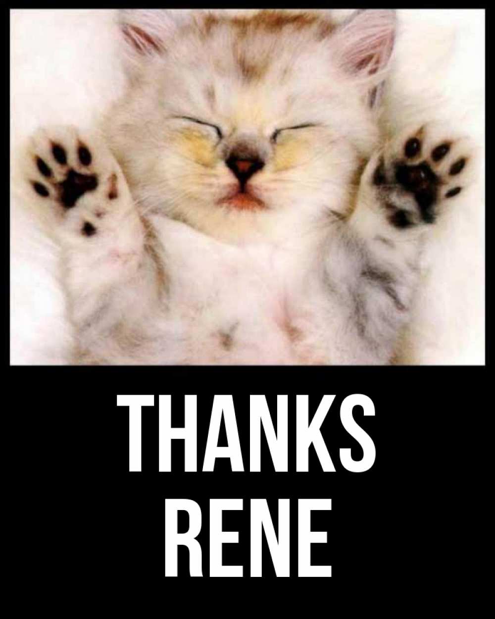 Greetings card с именем, Rene Thanks маленький котенок Greetings with text for free download 