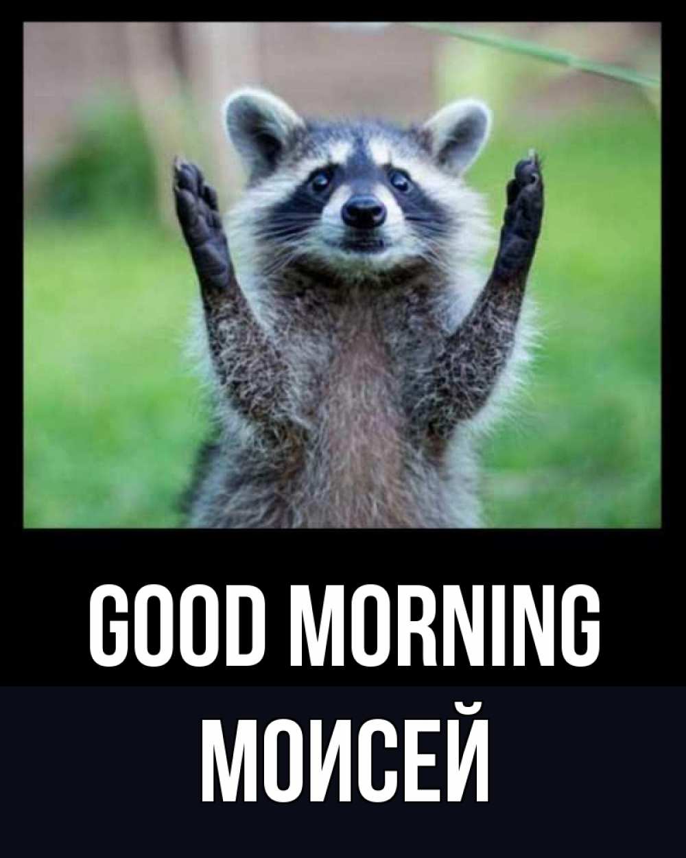 Greetings card с именем, Моисей Good morning хорошее настроение утречком Greetings with text for free download 
