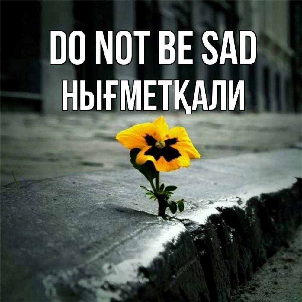 Greetings card с именем, НЫҒМЕТҚАЛИ Do not be sad не сдавайся Greetings with text for free download 
