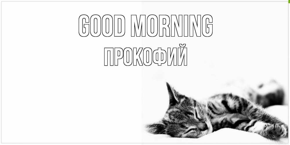 Greetings card с именем, Прокофий Good morning котуся Greetings with text for free download 