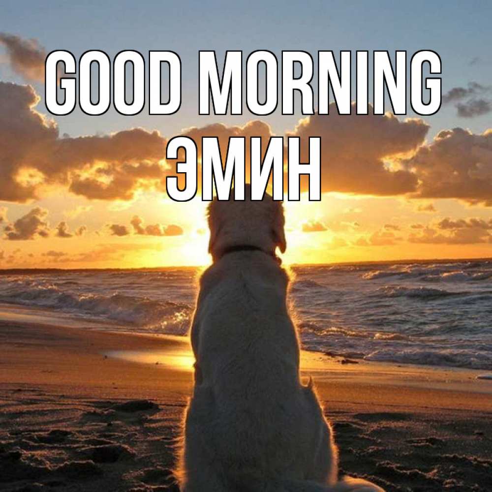 Greetings card с именем, Эмин Good morning восход солнца Greetings with text for free download 