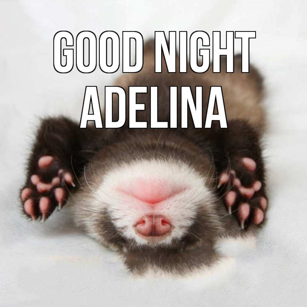 Greetings card с именем, Adelina Good night зверек Greetings with text for free download 