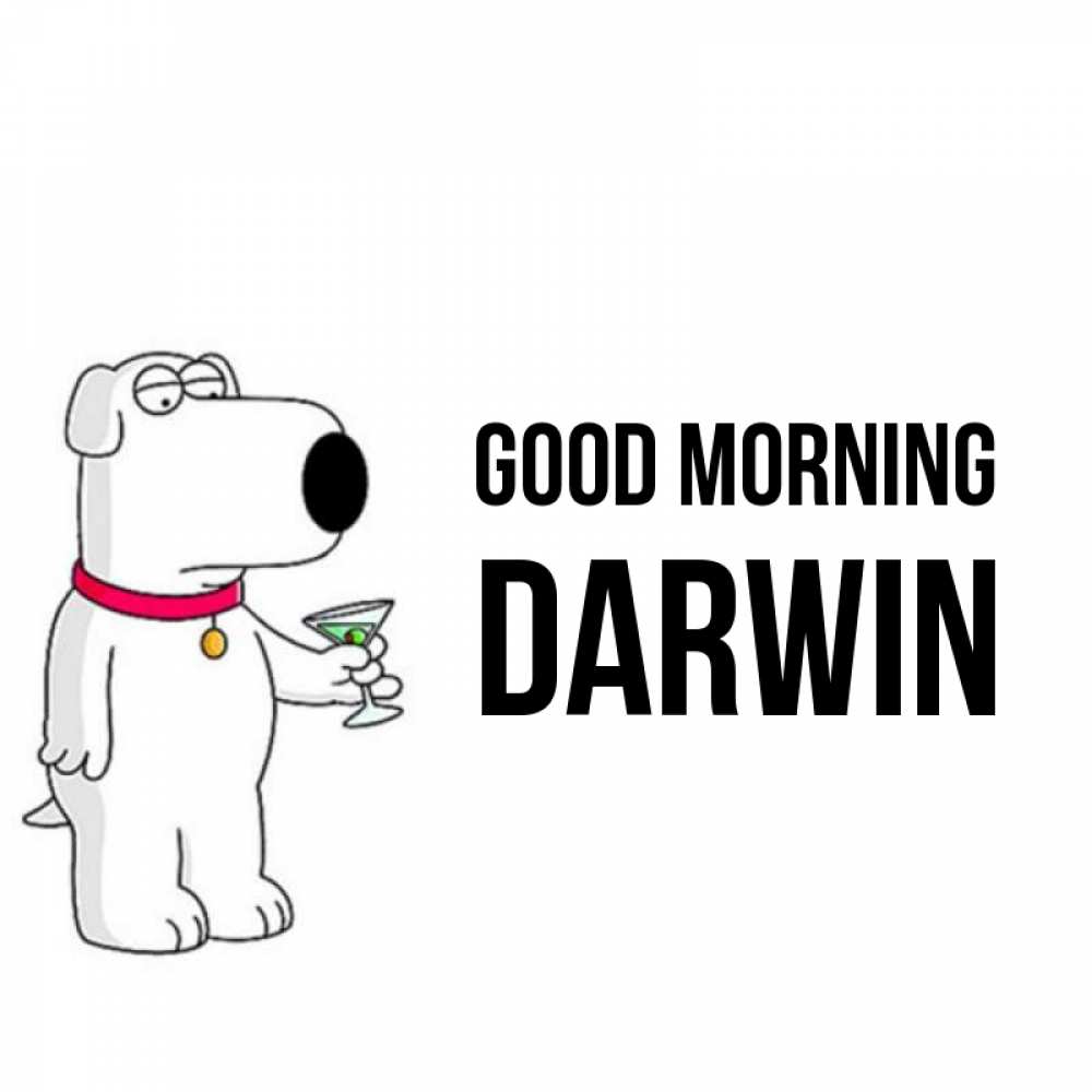 Greetings card с именем, Darwin Good morning герои мультфильмов белый пес Greetings with text for free download 
