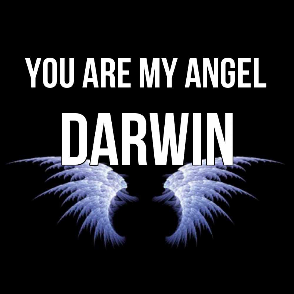 Greetings card с именем, Darwin You are my angel ангельские крылья на черном фоне Greetings with text for free download 