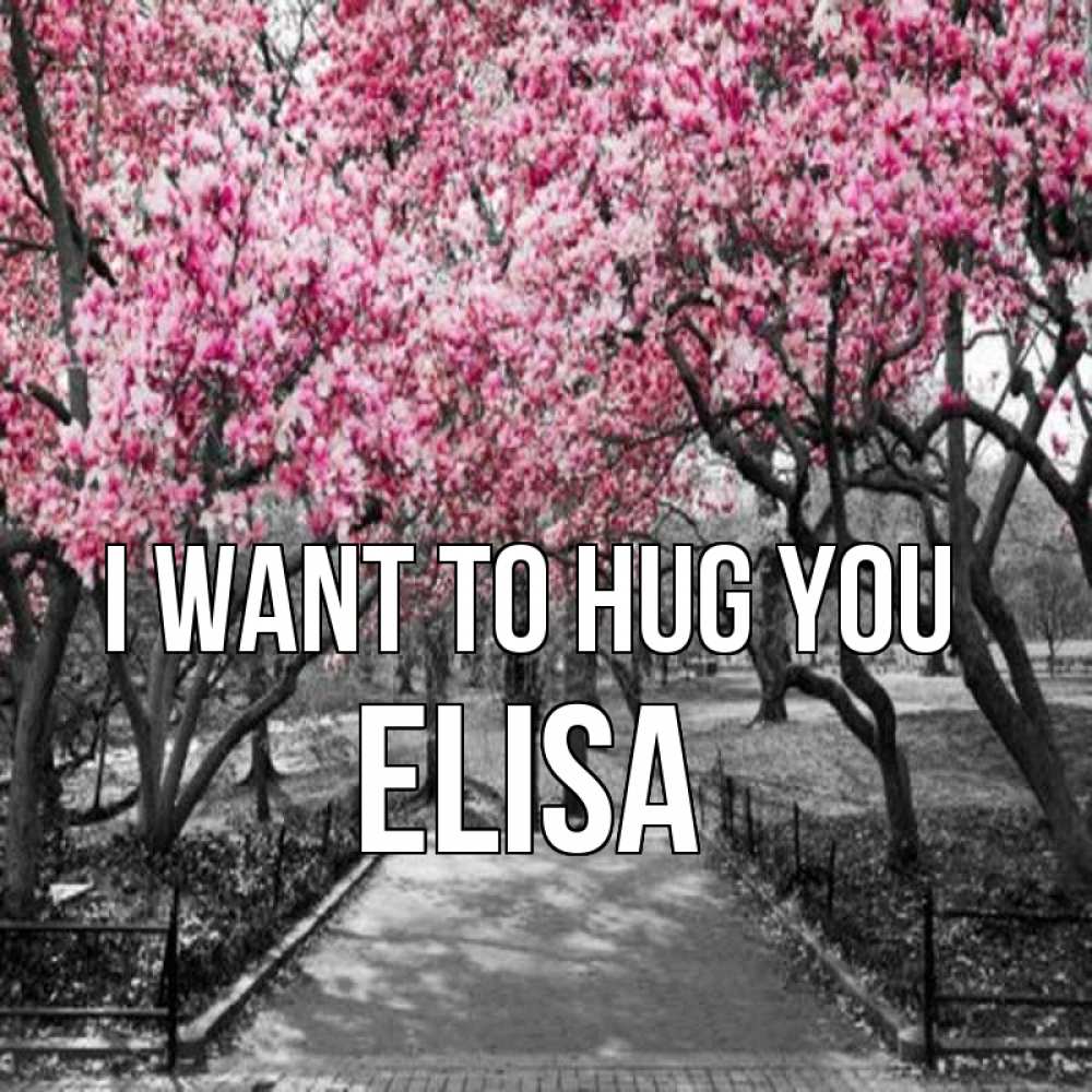 Greetings card с именем, Elisa I want to hug you обработанное фото Greetings with text for free download 