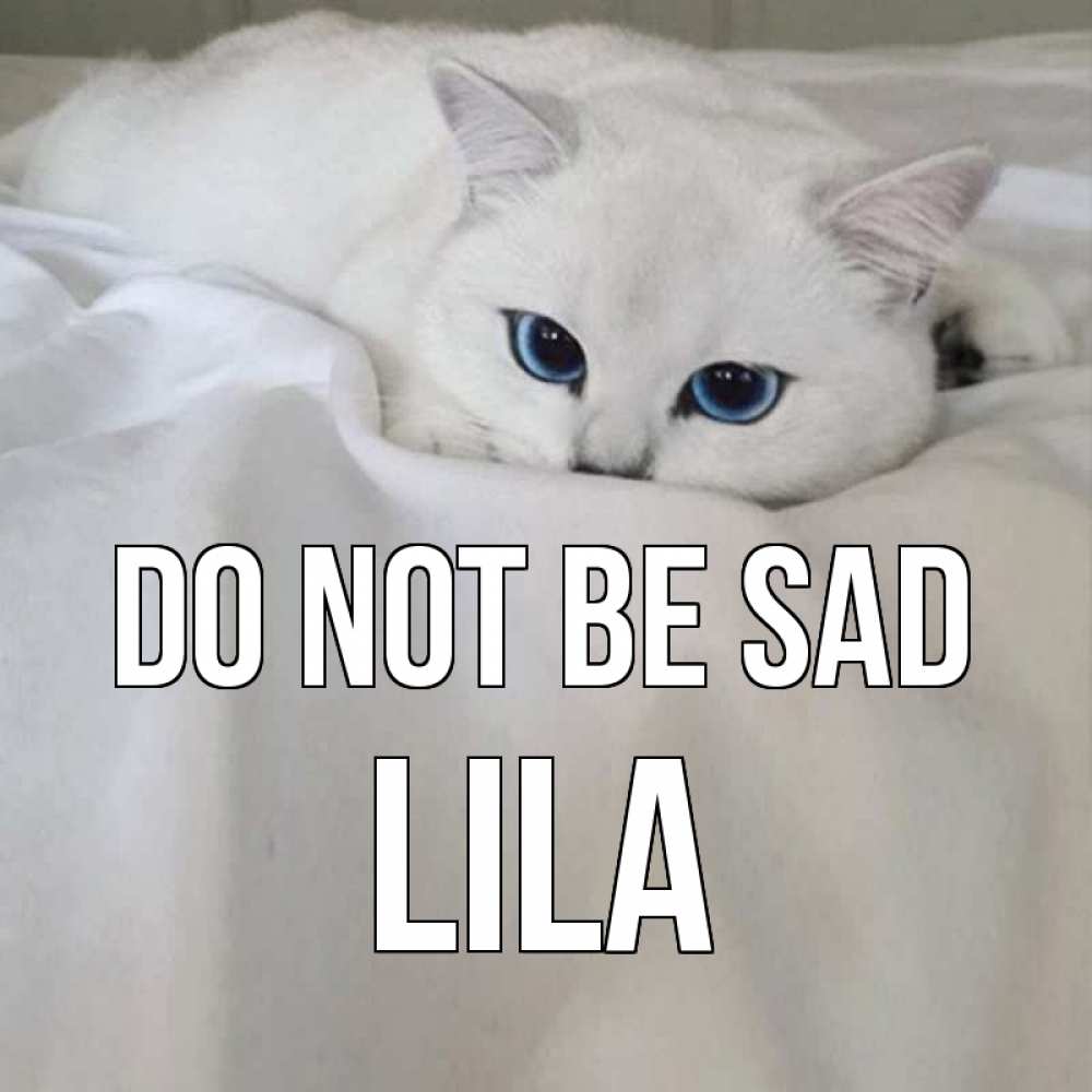 Greetings card с именем, Lila Do not be sad белый кот с голубыми глазами на белоснежной кровати Greetings with text for free download 