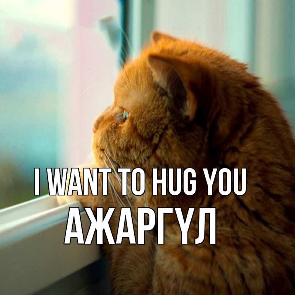 Greetings card с именем, АЖАРГҮЛ I want to hug you большой огромный рыжий котяра Greetings with text for free download 