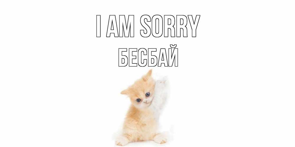 Greetings card с именем, Бесбай I am sorry кот Greetings with text for free download 