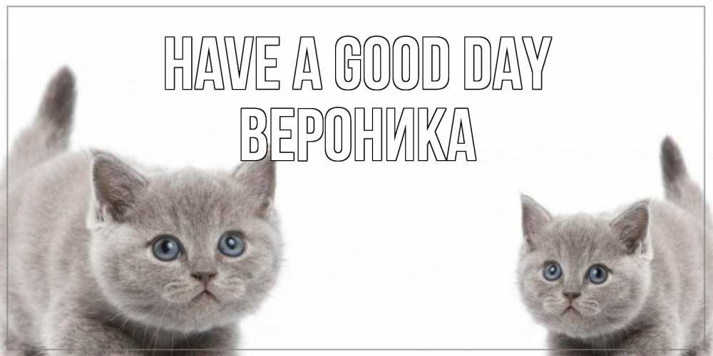 Greetings card с именем, Вероника Have a good day открытка с котами Greetings with text for free download 