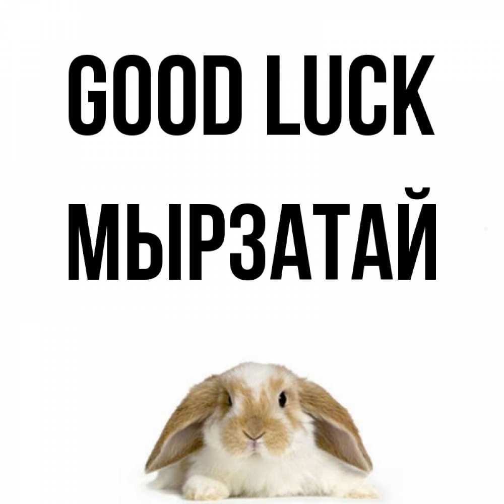 Greetings card с именем, Мырзатай Good luck открытки с произвольным текстом который можно вставить в открытку и создать ее самостоятельно бесплатно онлайн Greetings with text for free download 