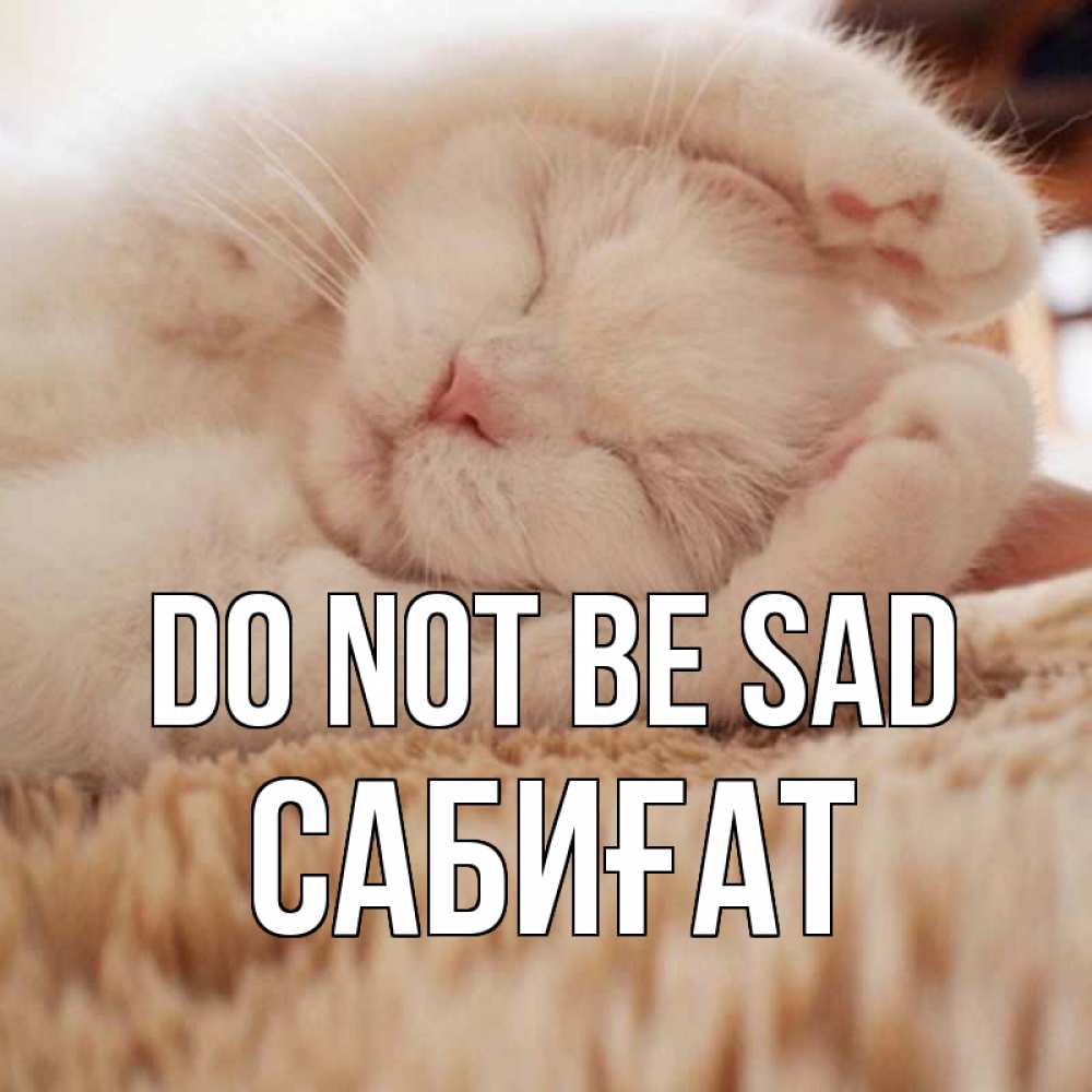 Greetings card с именем, САБИҒАТ Do not be sad белый кот Greetings with text for free download 