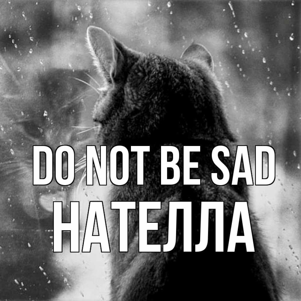 Greetings card с именем, Нателла Do not be sad отражение кота 1 Greetings with text for free download 