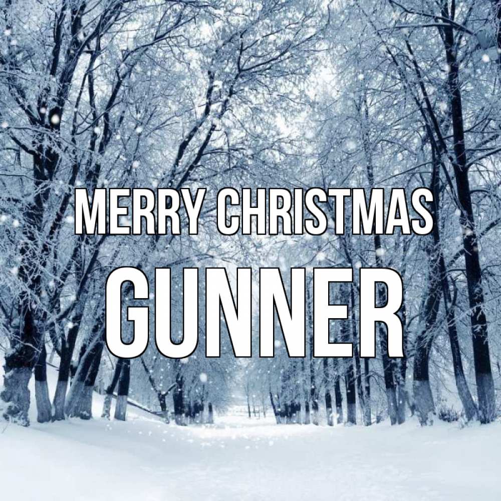 Greetings card с именем, Gunner Merry Christmas снег, лес, парк Greetings with text for free download 