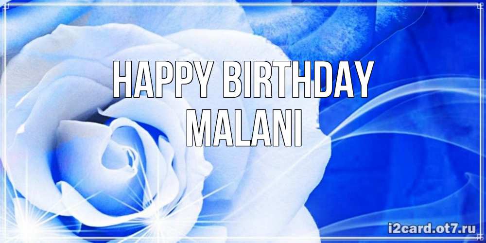 Greetings card с именем, Malani Happy Birthday белая роза на голубом фоне Greetings with text for free download 