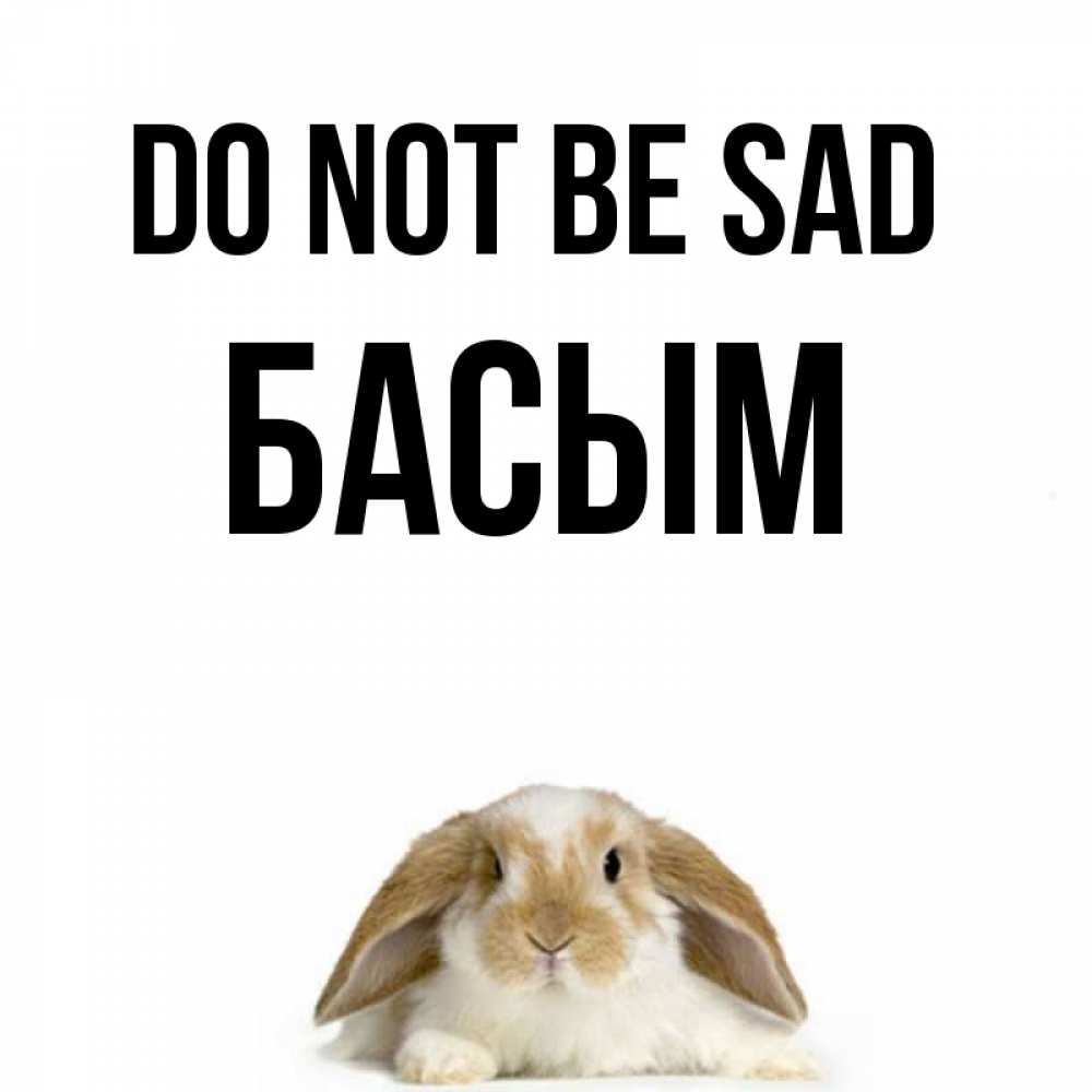 Greetings card с именем, Басым Do not be sad коричнево белый заяц с большими ушками Greetings with text for free download 