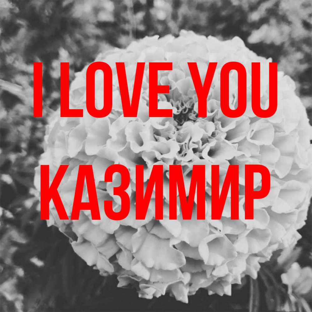 Greetings card с именем, Казимир I love you подпись Greetings with text for free download 