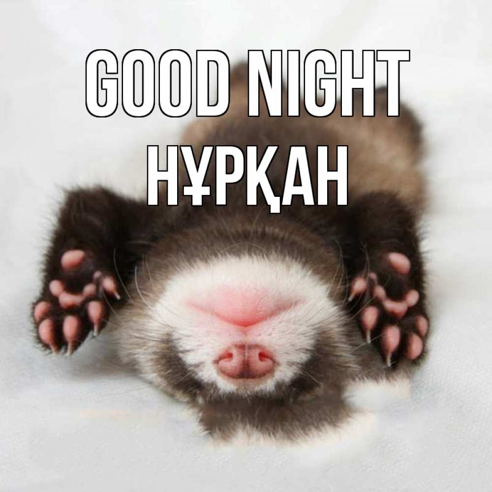 Greetings card с именем, Нұрқан Good night зверек Greetings with text for free download 