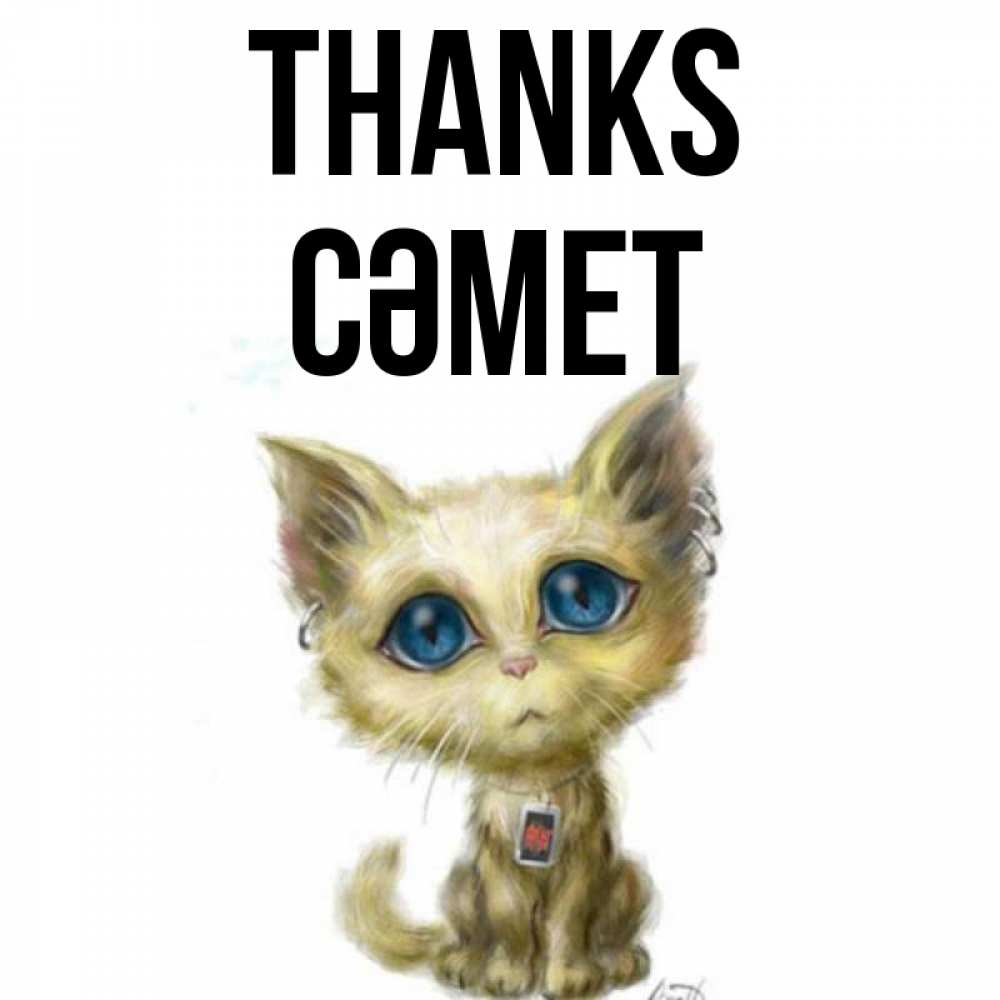 Greetings card с именем, СӘМЕТ Thanks рисованный кот благодарит вас Greetings with text for free download 
