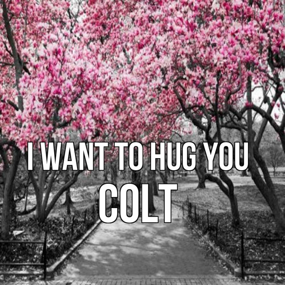 Greetings card с именем, Colt I want to hug you обработанное фото Greetings with text for free download 